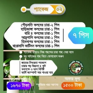প্যাকেজ 2