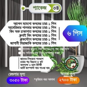 প্যাকেজ ৪