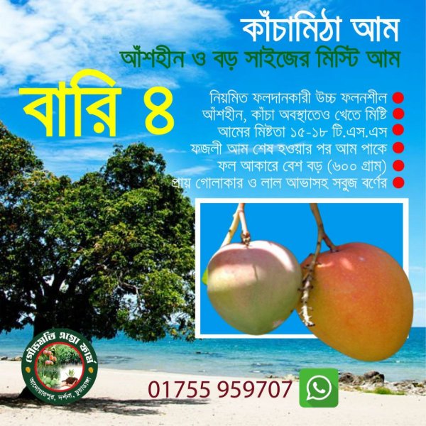 Gourmoti Agro Farm Bari 4 Mango