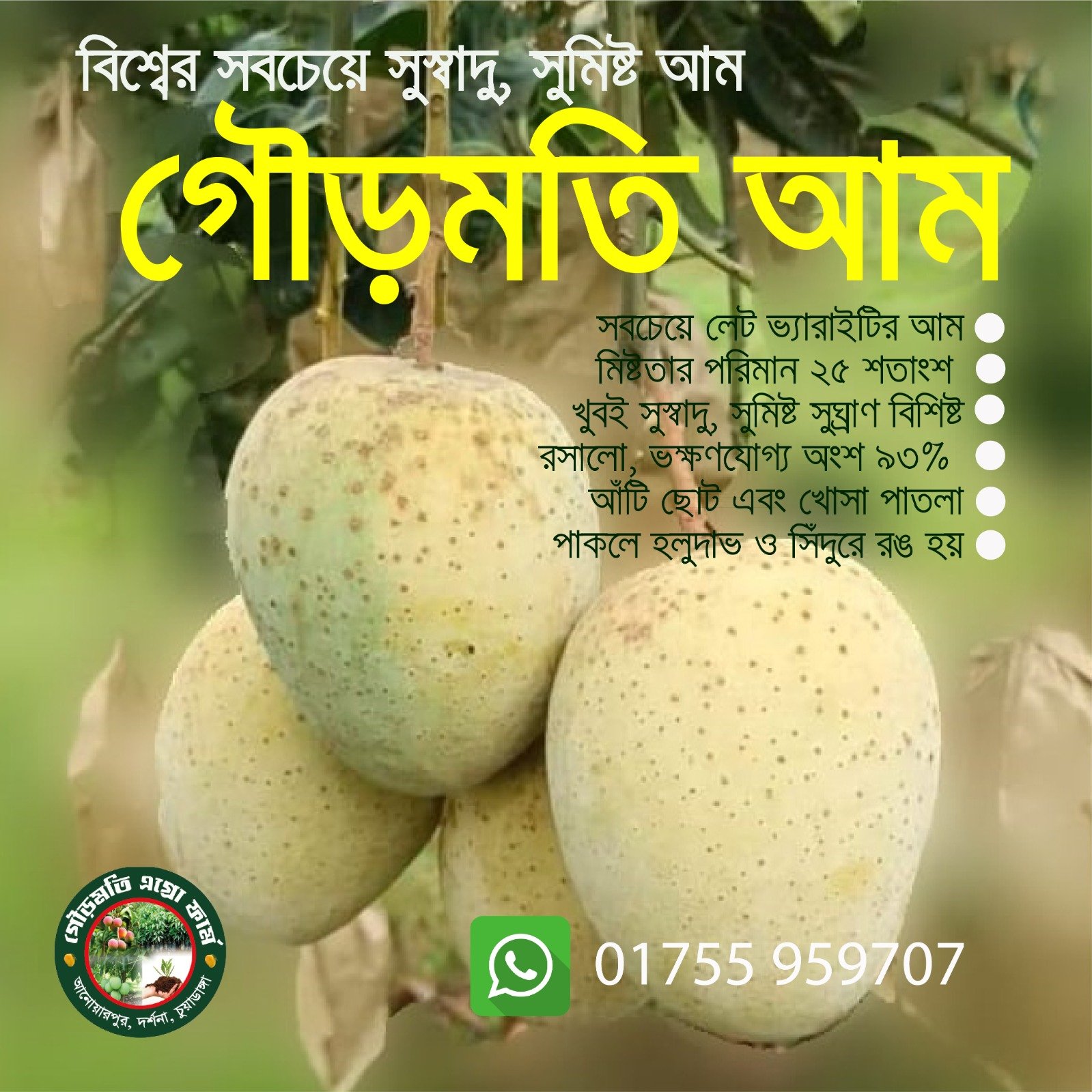 Gourmoti Agro Farm Gourmoti Mango