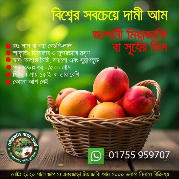 Gourmoti Agro Farm Japanese Miyazaki Mango